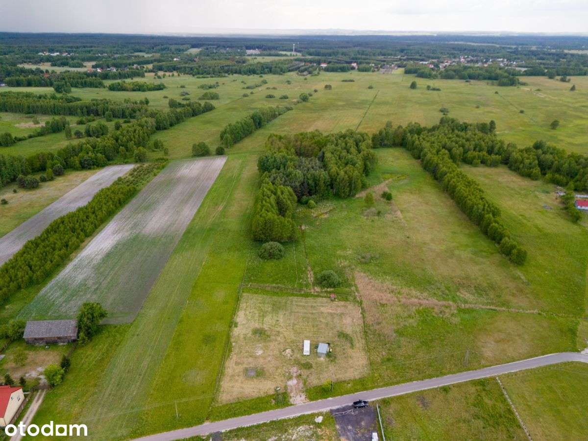 Szeroka, malownicza działka budowlana z lasem - Pełny obrazek: 4/9