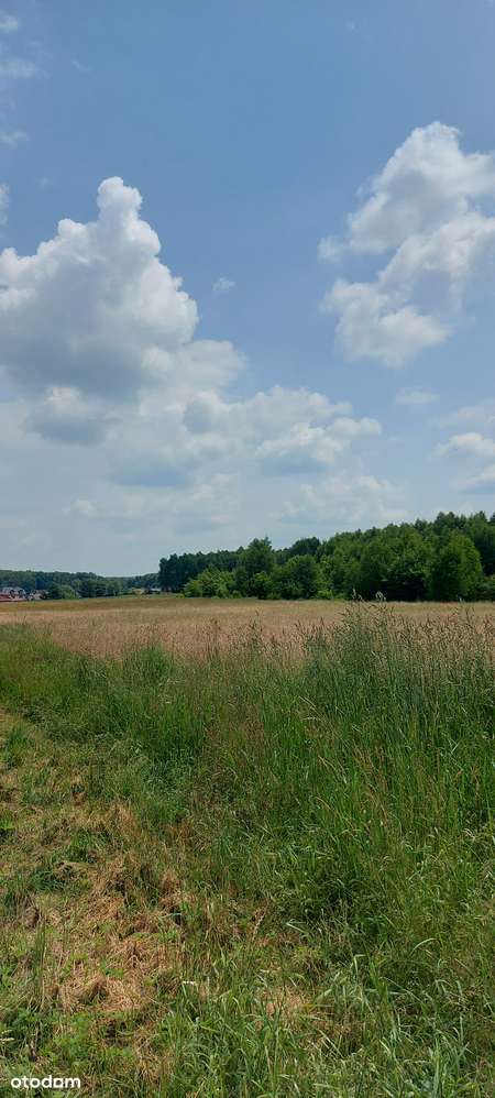 Działka rolna - Gostyń pow. 0,0774 HA-0