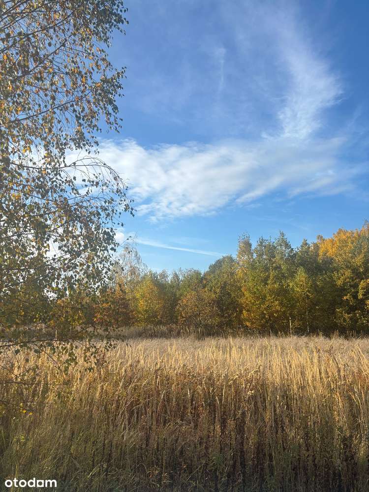 Działka budowlana Wyględy gm. Leszno-8