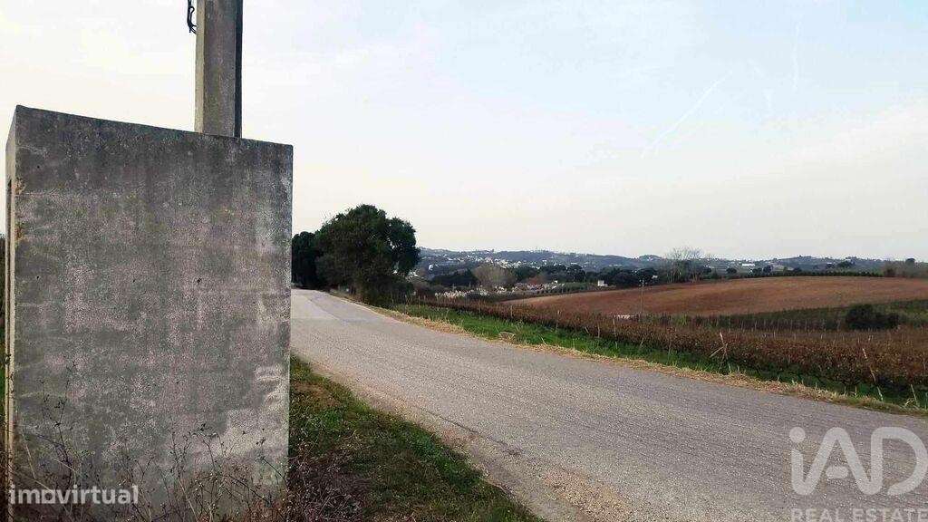 Terreno em Carvalhal de 50600,00 m2 - Grande imagem: 4/15