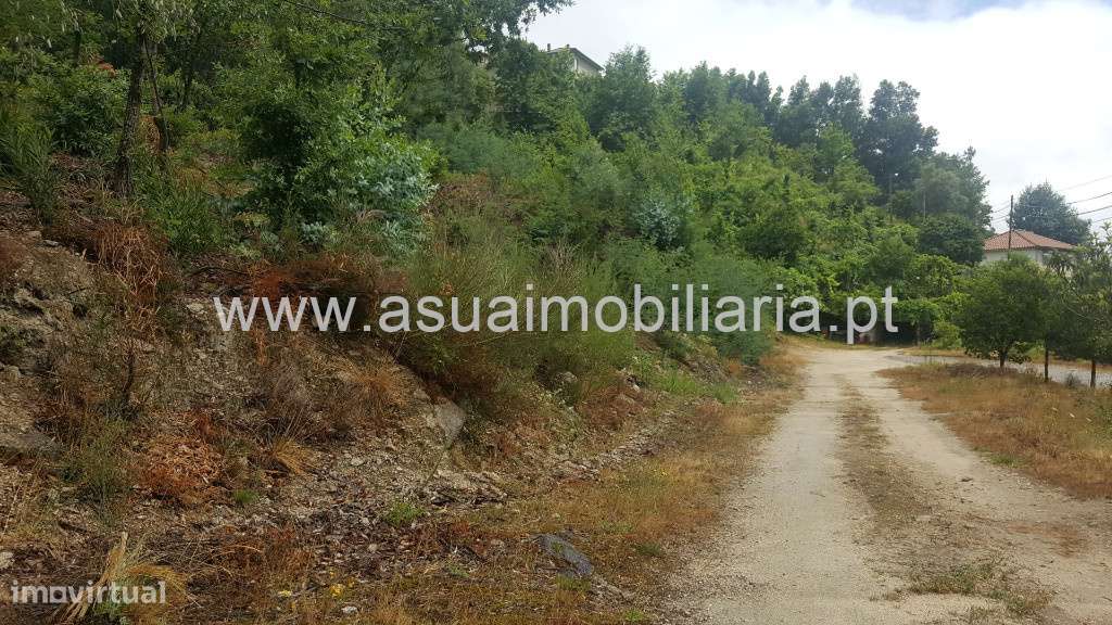 Terreno - Vilar da Veiga - Grande imagem: 5/5