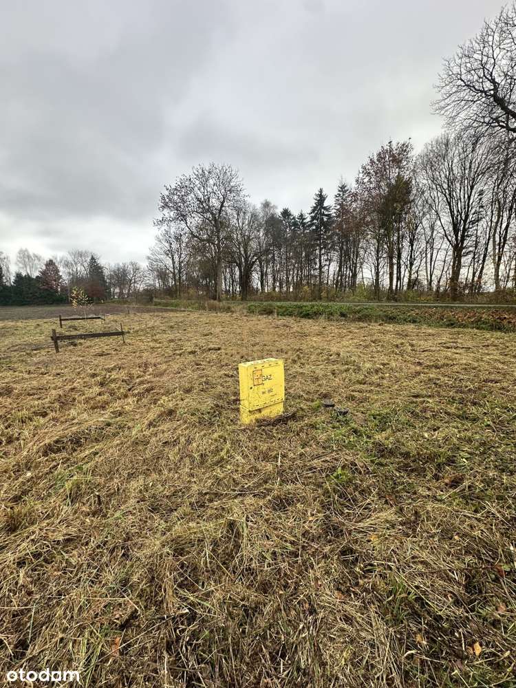 Rewelacyjna działka z dojazdem asfaltowym - Pełny obrazek: 4/5