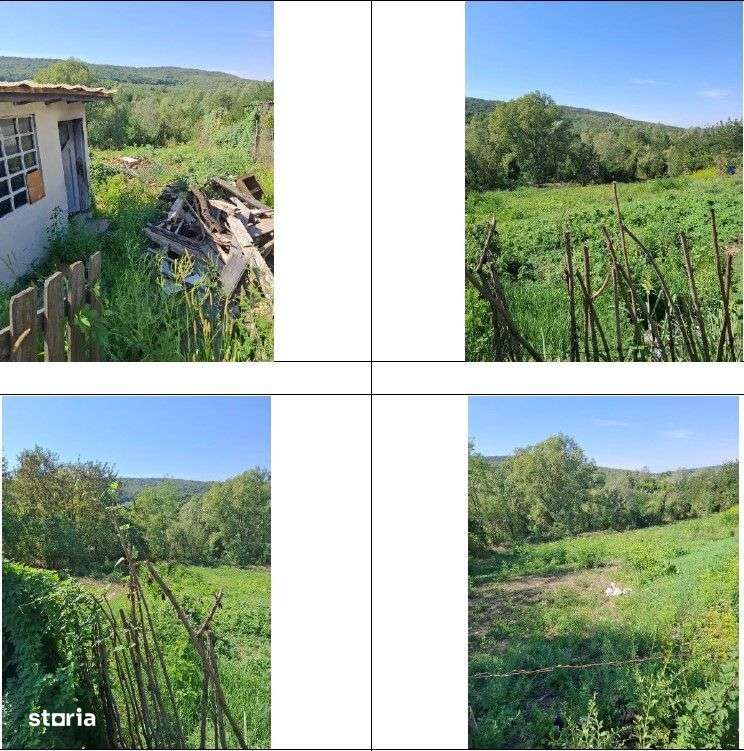 Constructie si teren Apostolache, ID: R2246513 - Imagine principală: 4/9