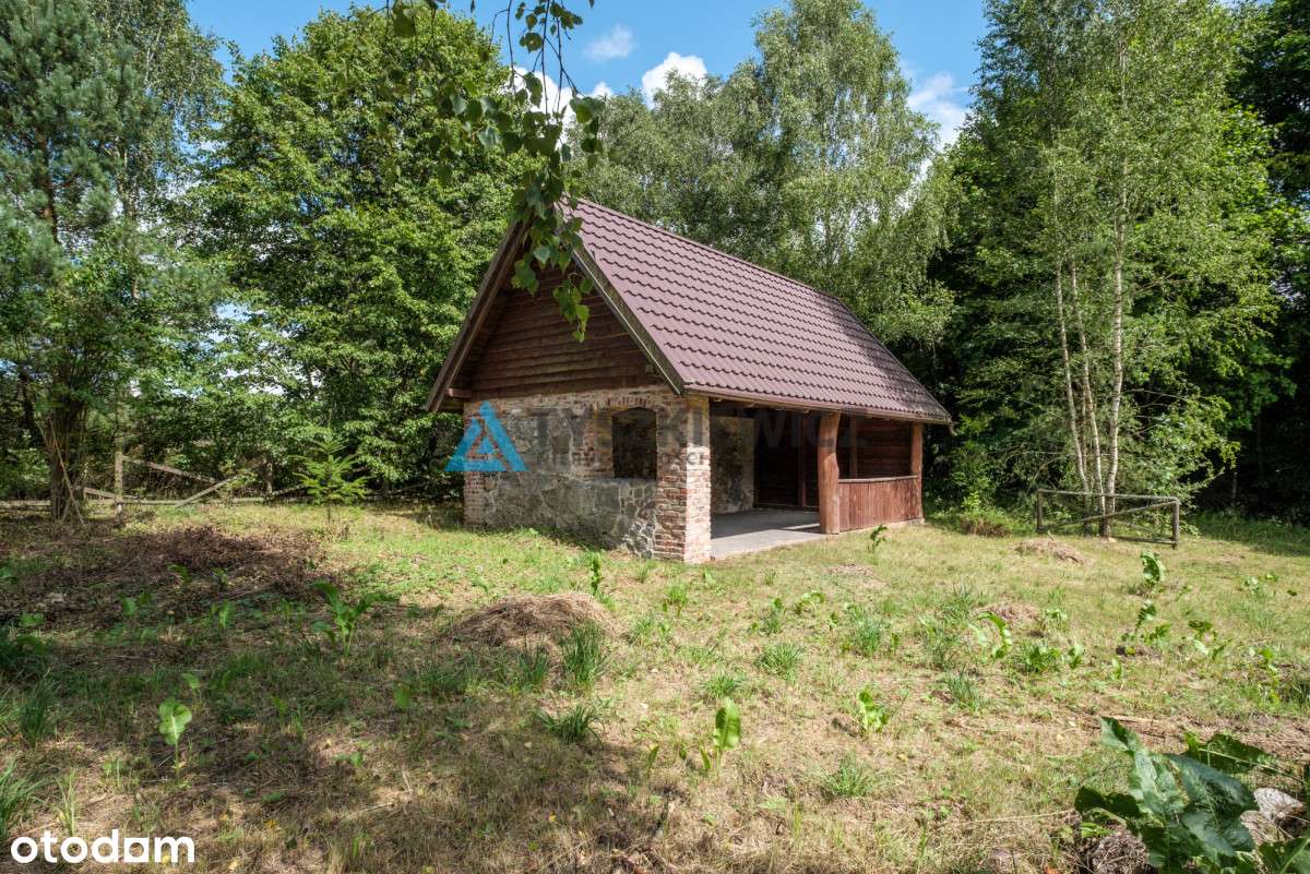 Działka w sercu lasu - cisza i spokój - Pełny obrazek: 5/20