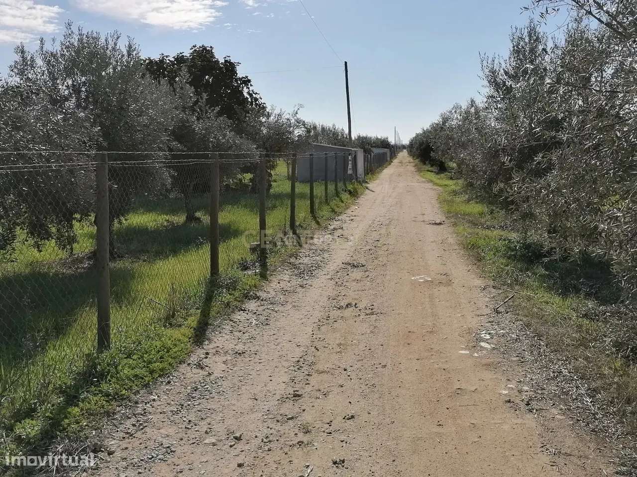 Quinta no Carapetal - Grande imagem: 5/47