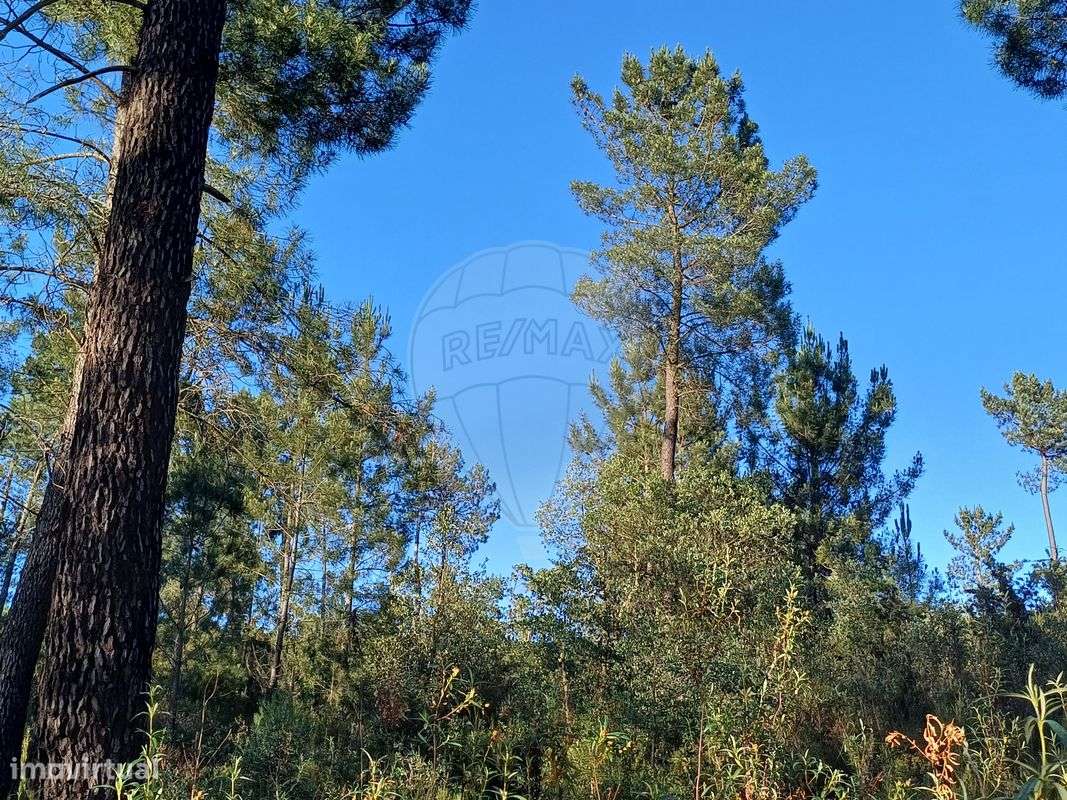Terreno  para venda - Grande imagem: 4/20