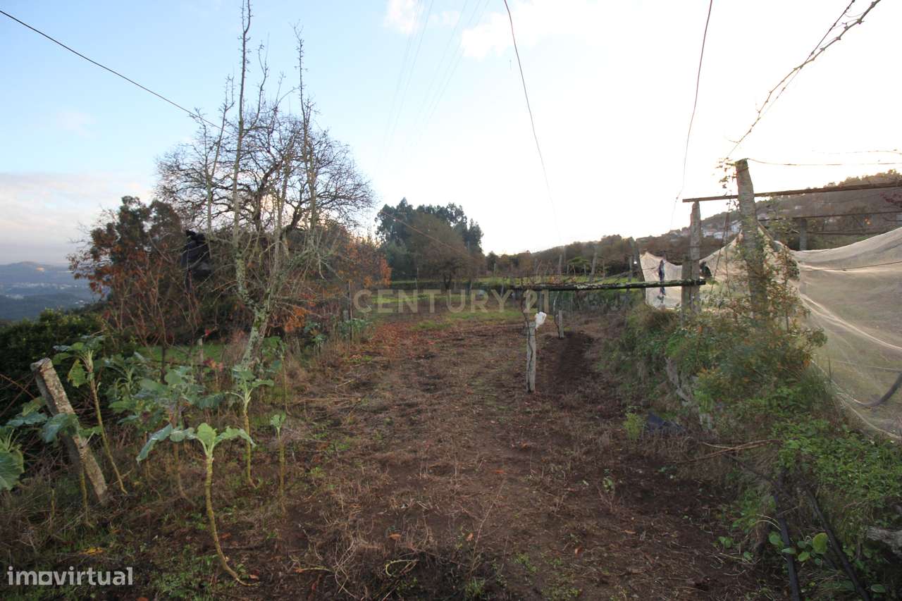 Terreno para construção - Grande imagem: 4/20