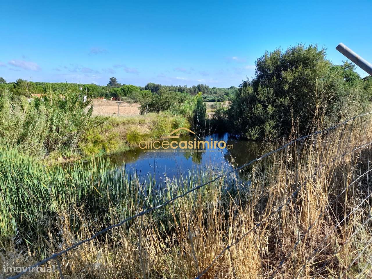 Quinta com moradia T3 - Grande imagem: 5/25