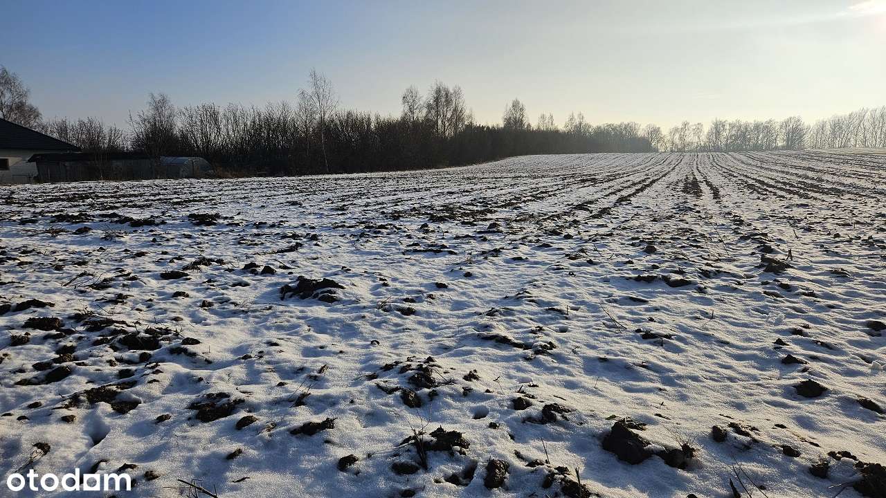OSTATNIA już działka na sprzedaż pod miastem -ŚPIESZ SIĘ.-7