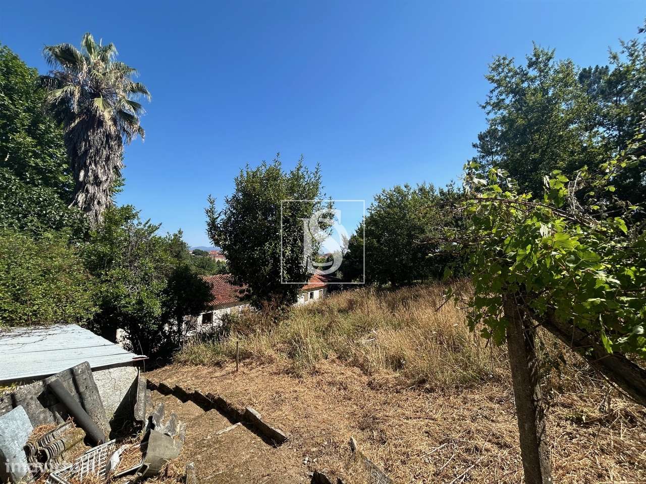 Quinta com 24.300m² em Vale de Açores, Mortágua-49
