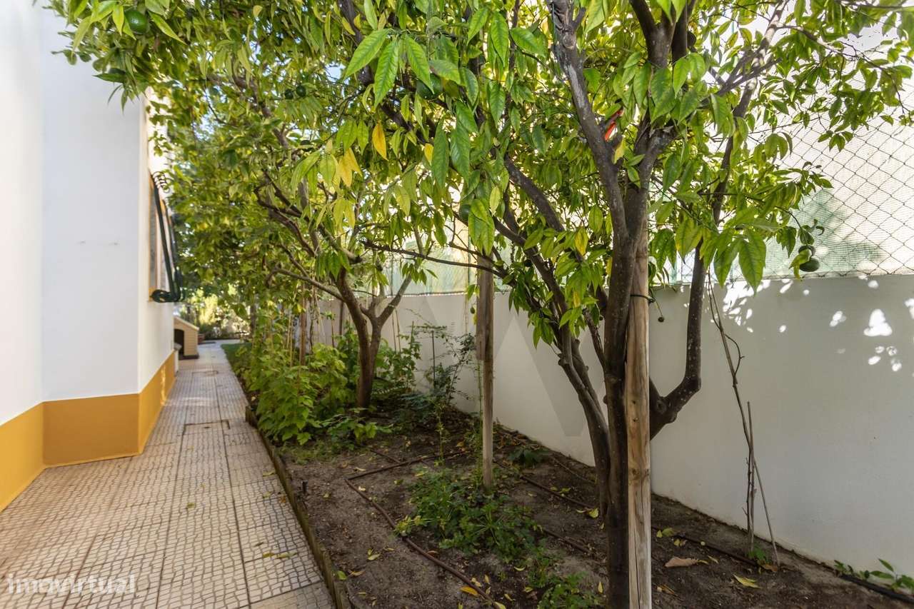 Moradia T4 isolada em Fernão Ferro - Grande imagem: 5/53