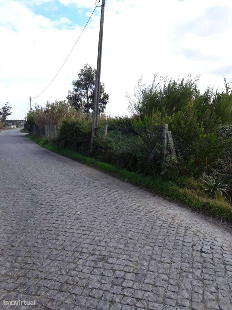 Terreno em Apúlia - Grande imagem: 4/6