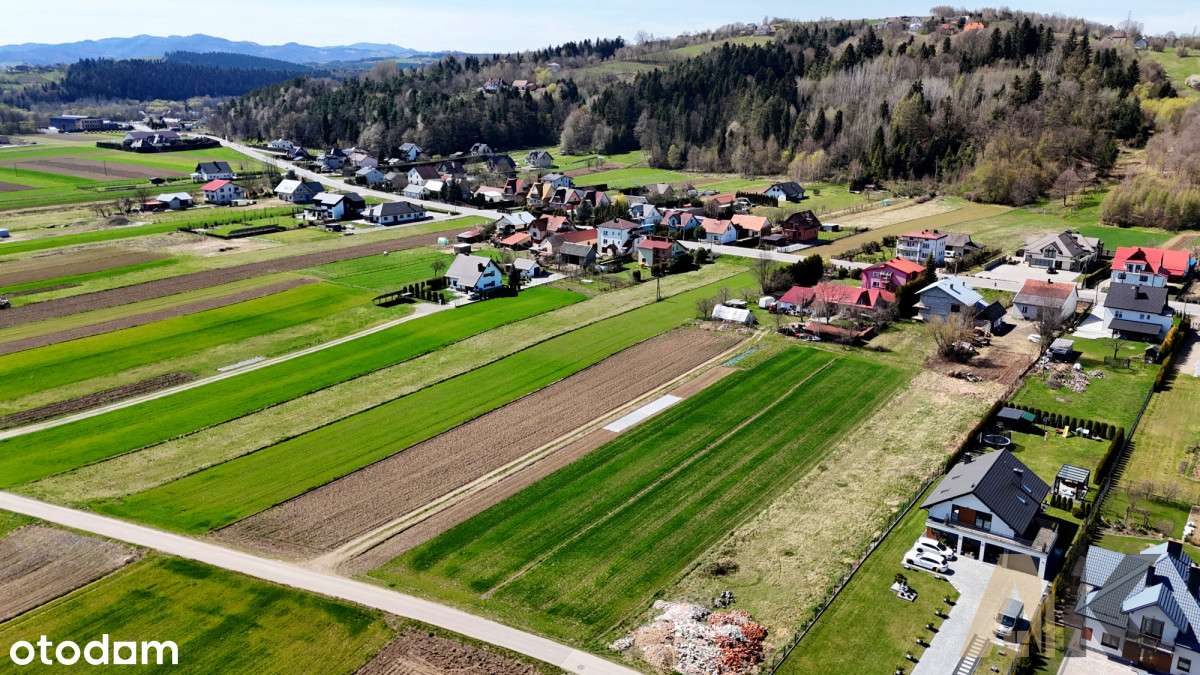 Działka budowlana 11ar Podegrodzie - Pełny obrazek: 4/16