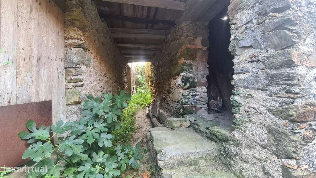 Moradia Rustica M3 , Penacova - Grande imagem: 3/7