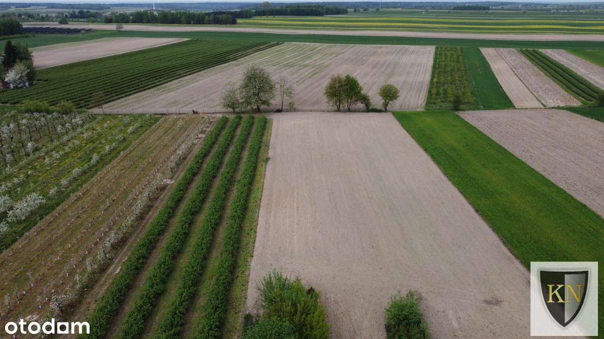 Siedlisko z zabudowaniami-15