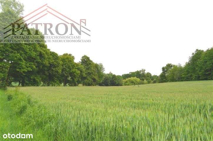 Działka budowlana w malowniczej wsi Włodzice Małe.-3