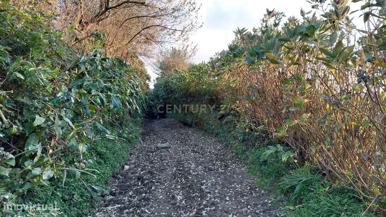 Terreno Rústico com 14.680 m2 - Grande imagem: 4/5