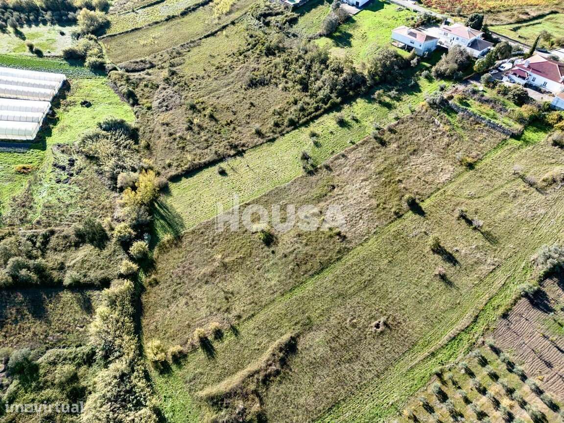 Terreno Rústico com 7.670m² nos Golfeiros – Batalha-6