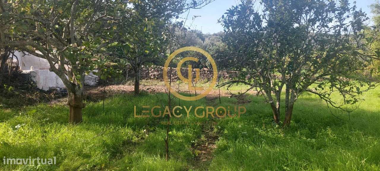 Terreno com mina de água e  uma Ruina em Alte, Loulé, Algarve - Grande imagem: 4/60