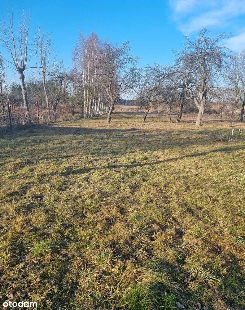 Dom 80m2 z działką 0,26Ha Żelazowice-5