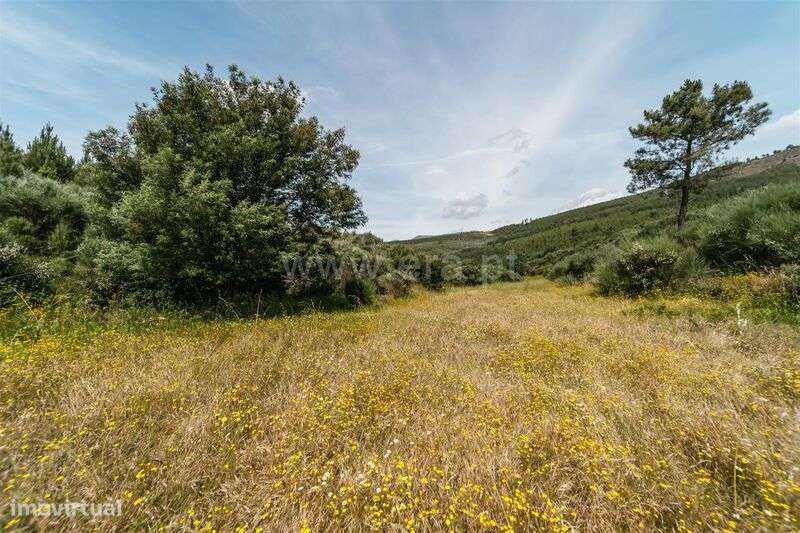 Quinta Estúdio / Covilhã, Serra da Estrela - Grande imagem: 3/11