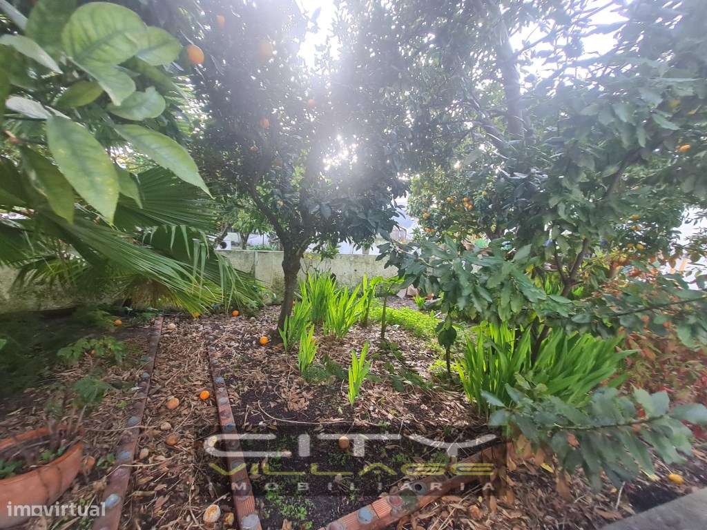 Moradia Pinhal Novo - Grande imagem: 5/19