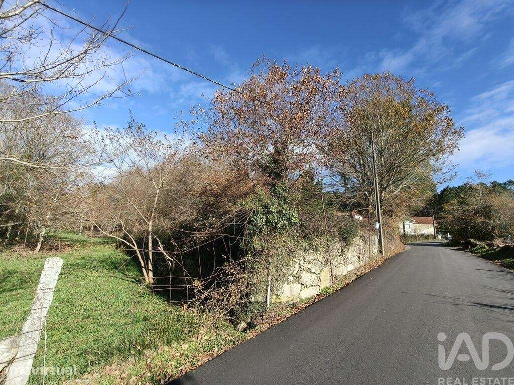 Terreno Agrícola em Covas - Grande imagem: 2/11