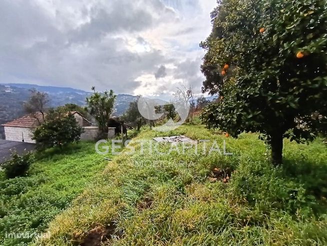 Moradia T3 em Penhalonga, Marco de Canaveses | Próxima do Rio Douro-13