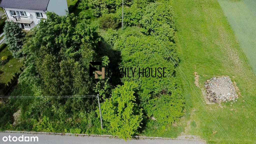 Działka rolno-budowlana 4500m2 Skarżysko Kościelne - Pełny obrazek: 4/14