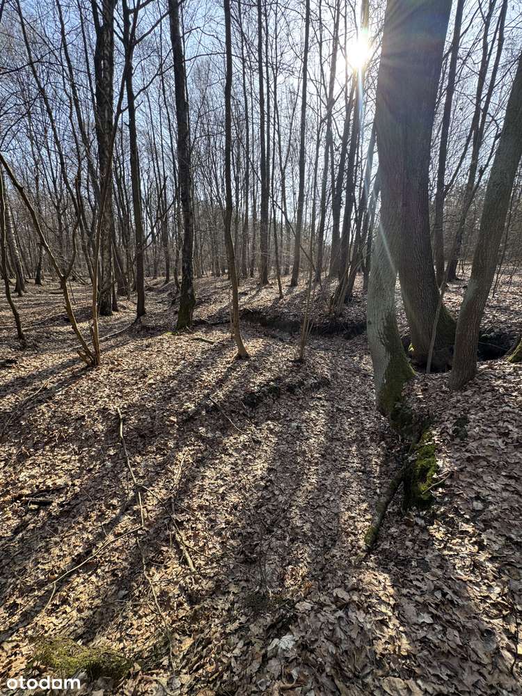 Wyjątkowa oferta! Działka z pozwoleniem na budowę zagrodową!-12