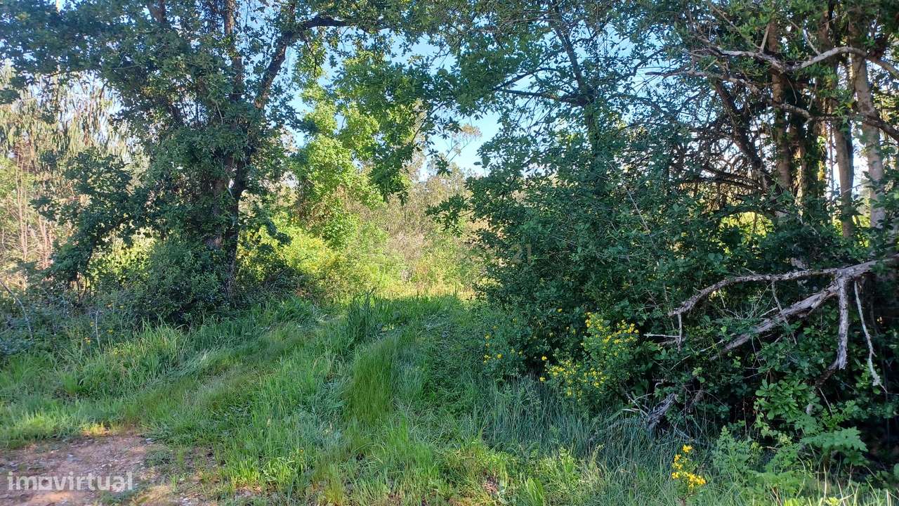 Terreno - Vila Nova da Barca - Venda - Grande imagem: 4/21