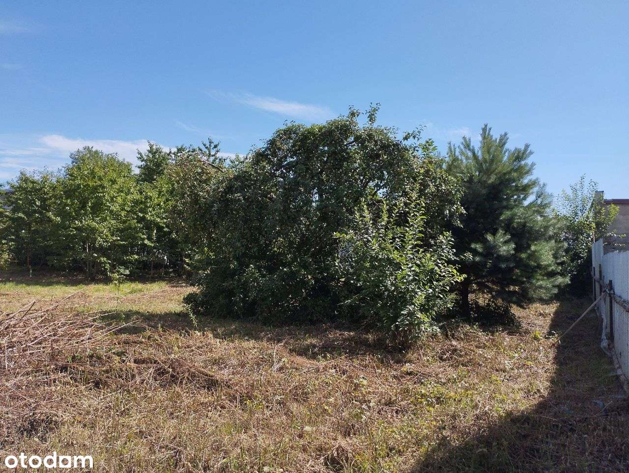 Działka w Grabówce BEZPOŚREDNIO - Pełny obrazek: 4/17