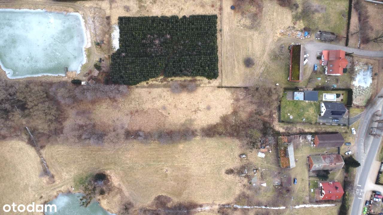 50 arów | Działka budowlana | Ogrodzona | Dojazd asfaltowy  Gogołowice-2