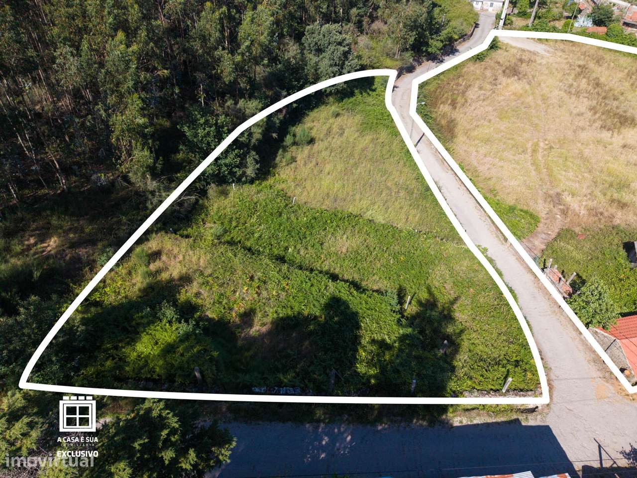 Quinta para restaurar em Macieira de Cambra - Exclusivo-18