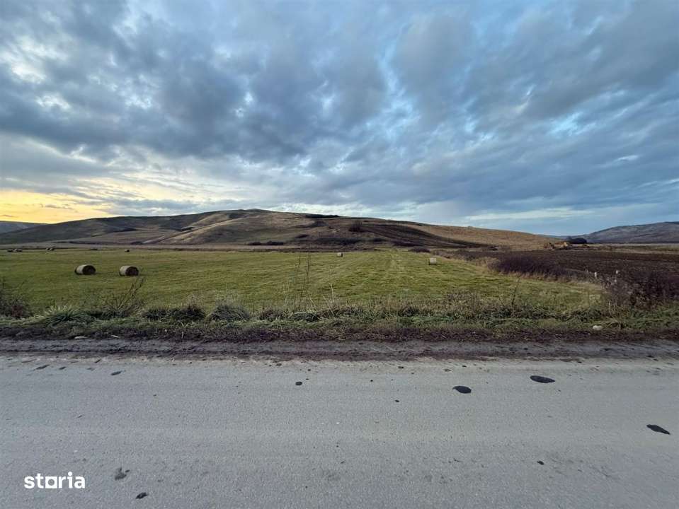 Teren Extravilan I 6000 Mp I Acces la drum | Cojocna-5