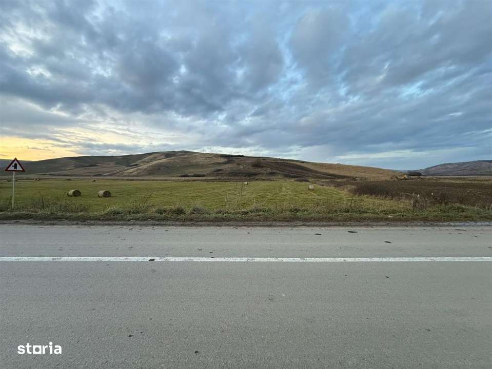 Teren Extravilan I 6000 Mp I Acces la drum | Cojocna-4