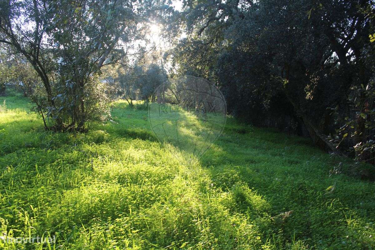 Terreno  para venda - Grande imagem: 4/8