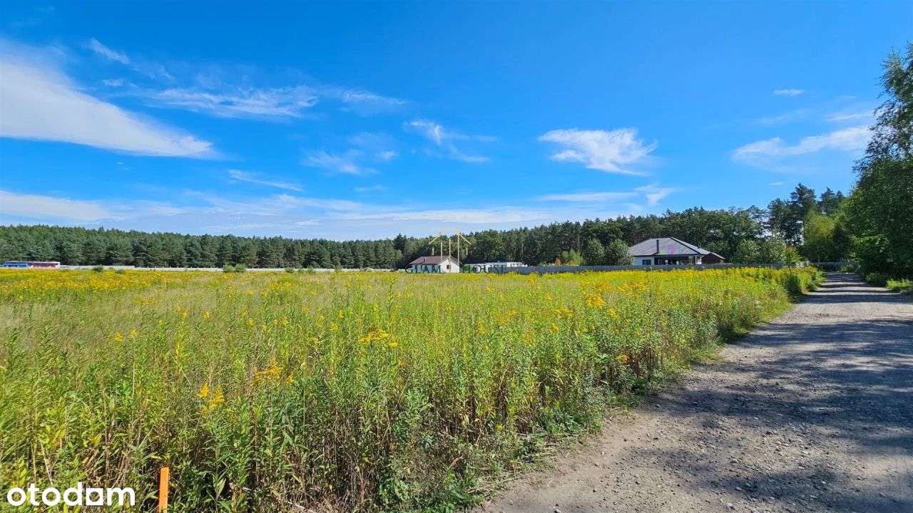 Blisko Lasu Piękna Działka W Wałdowie Królewskim - Pełny obrazek: 5/6