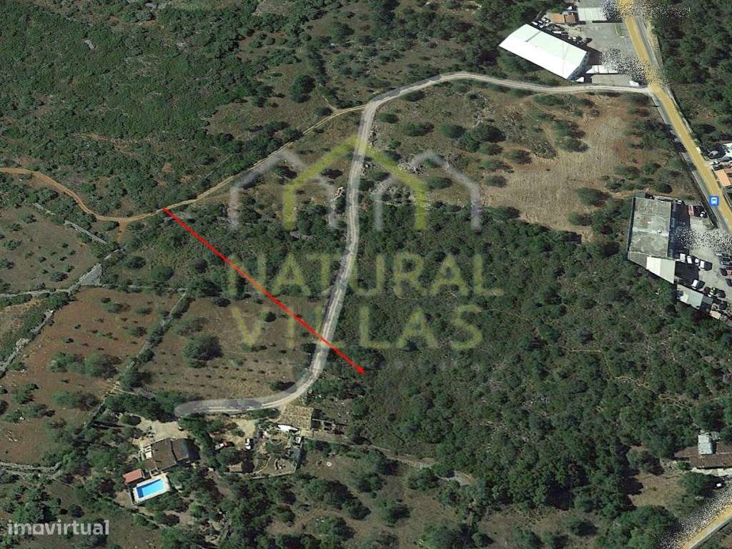 Terreno Rústico de 4,93 Hectares Próximo a São Brás de Alportel - Grande imagem: 3/3