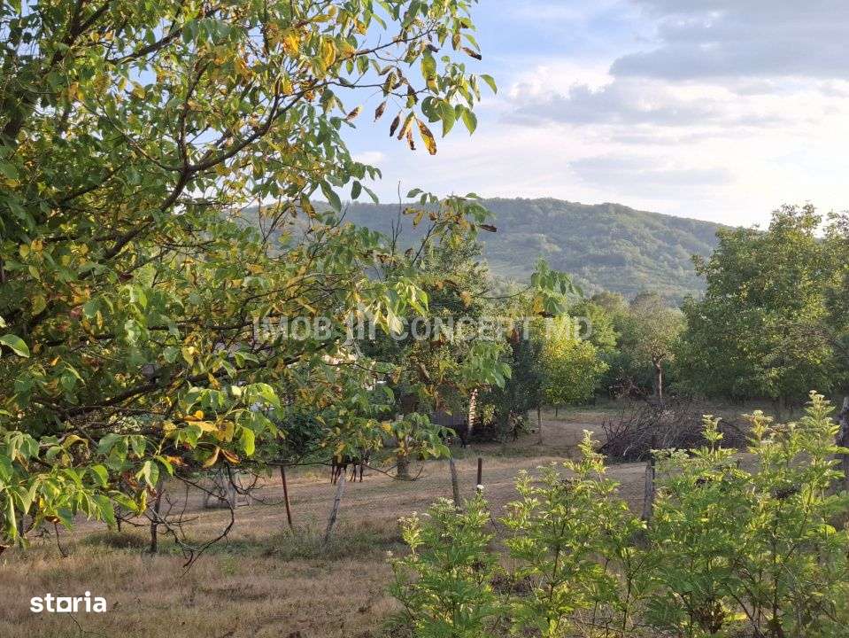Teren spectaculos cu padure, livada si priveliste panoramica in Soimar-9