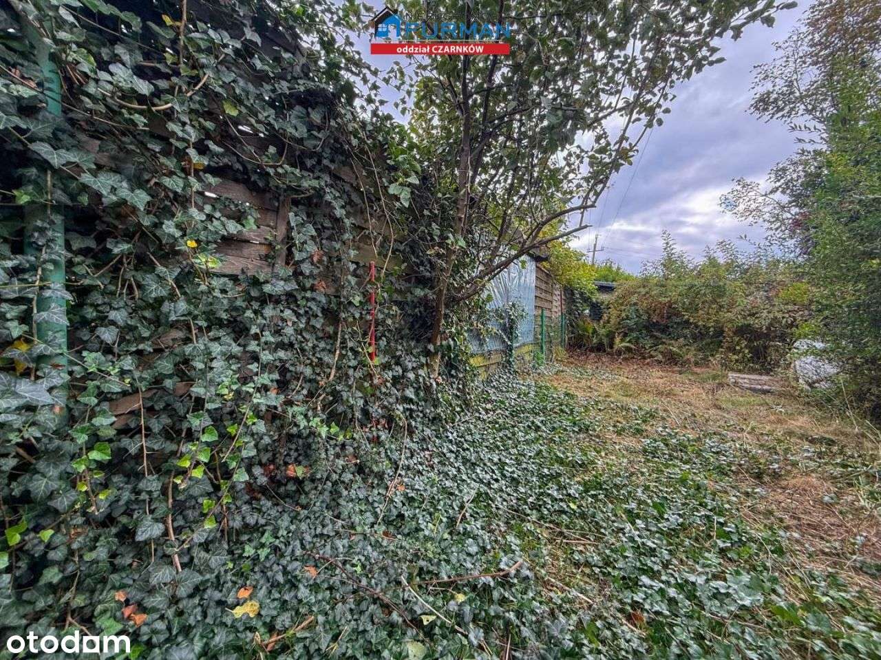 2 pokoje na parterze, niskie koszty utrzymania, ogródek - Pełny obrazek: 3/20