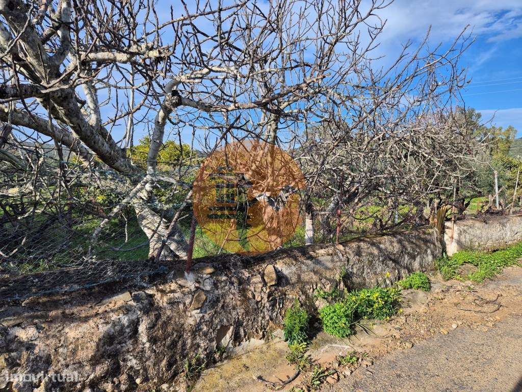 Terreno em Alcoutim, muito perto do Rio Guadiana, com viabilidade d... - Grande imagem: 3/7