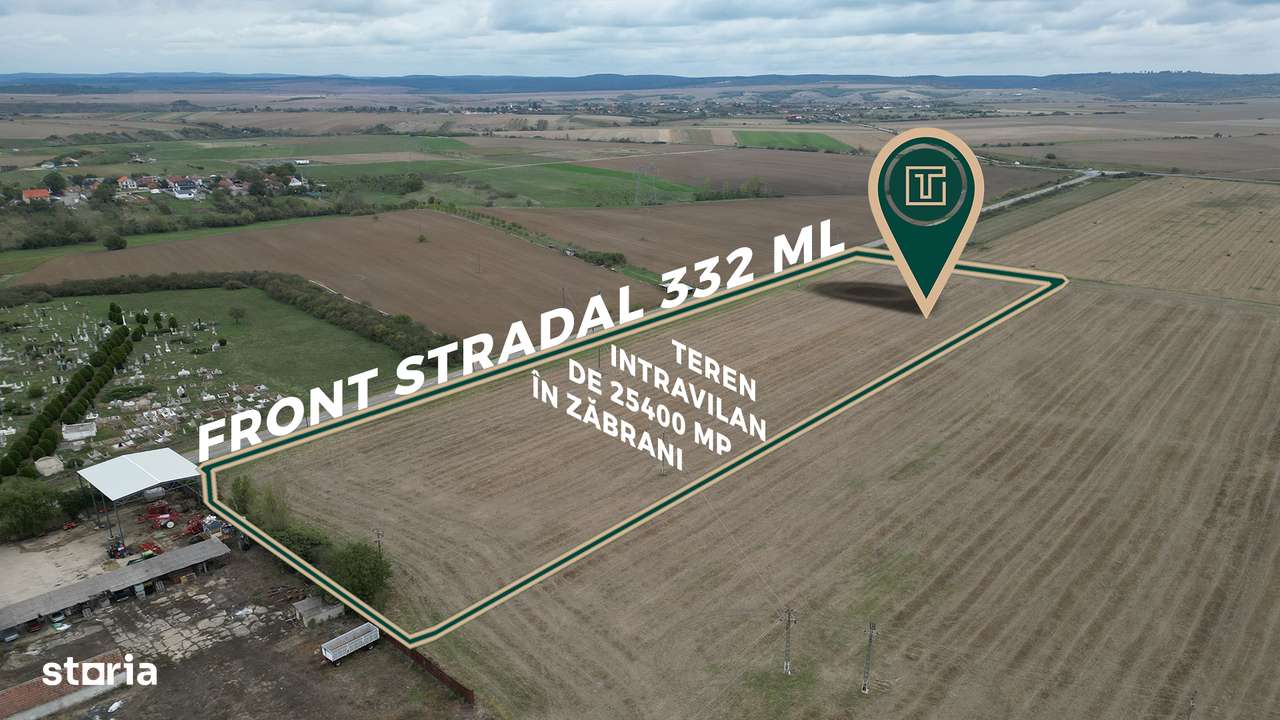 Teren intravilan 25.400 mp în Zăbrani – ideal pentru investiție - Imagine principală: 2/4
