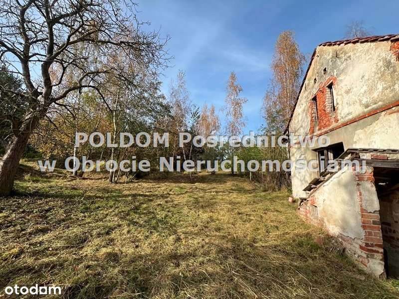 Działka budowlana 5747 m2/ Wilczyn k. Obornik Śl-6