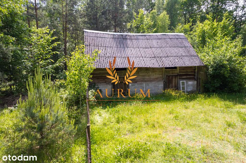 Siedlisko - idealne do wypoczynku - Pełny obrazek: 5/8