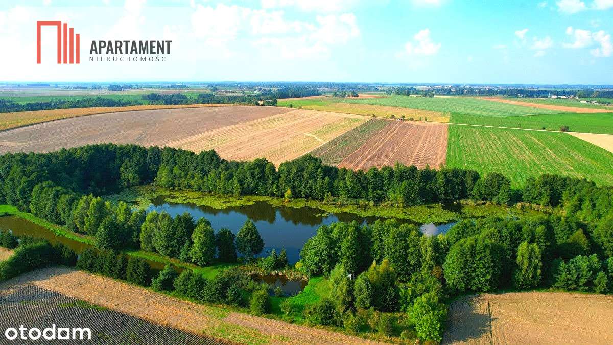 Tylko U Nas Stawy Z Działką Urokliwe Miejsce - Pełny obrazek: 5/18