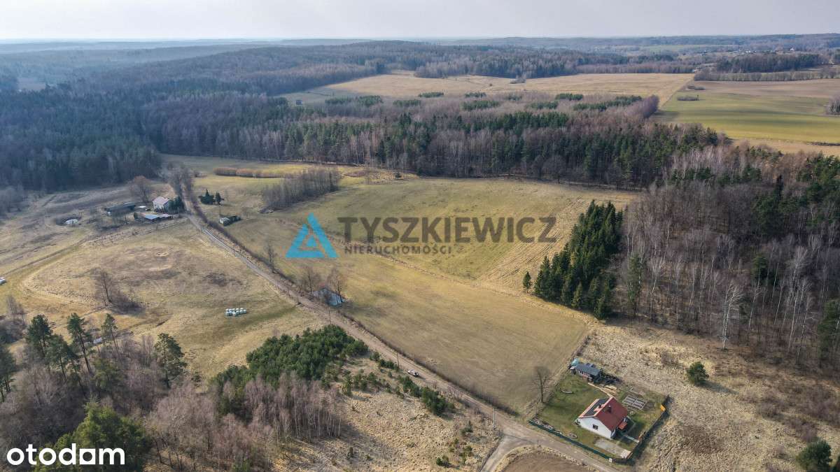 Działki rolne blisko lasu Mierzeszyn - Pełny obrazek: 5/20