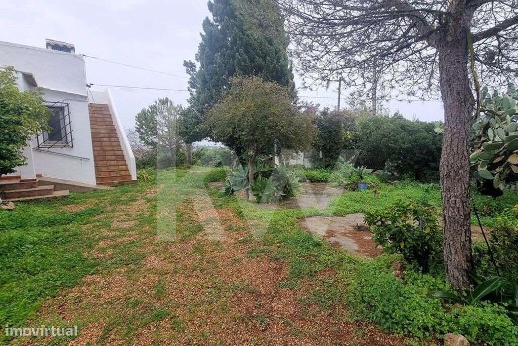 Quintinha em Olhão - Grande imagem: 4/31