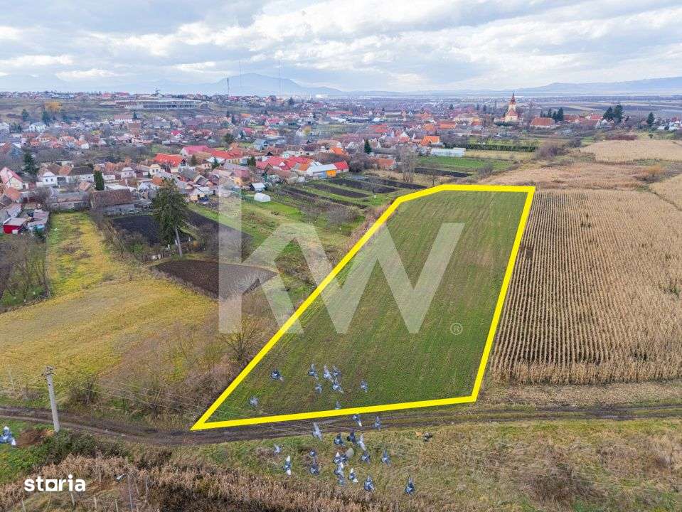 Teren 10000 mp in Extravilan, Bod, Brasov- COMISION 0%-2