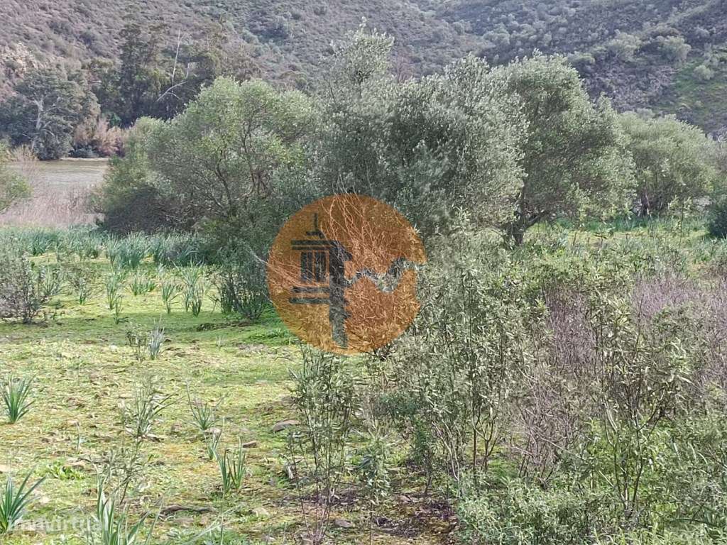 TERRENO RUSTICO COM 1.520 M2 - JUNTO AO RIO GUADIANA - ALCOUTIM - A... - Grande imagem: 4/24